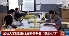百度搜刮也颁布发表面接入DeepSeek和文心大模子深