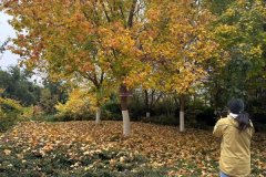 通过“天然美”“空间美”“步履美”“心灵美